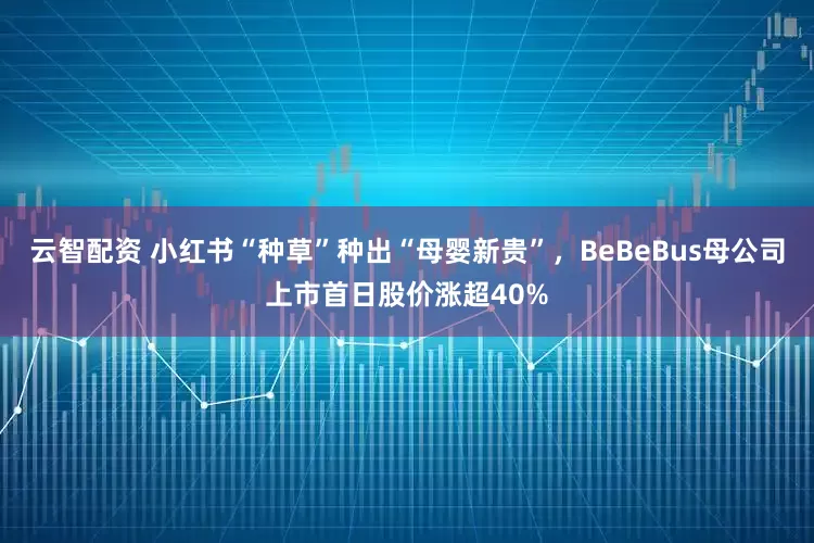 云智配资 小红书“种草”种出“母婴新贵”，BeBeBus母公司上市首日股价涨超40%