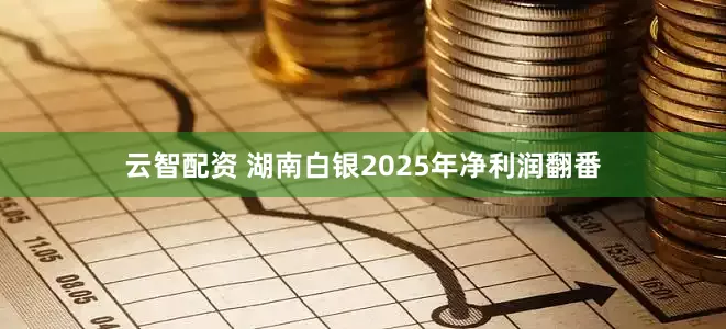 云智配资 湖南白银2025年净利润翻番